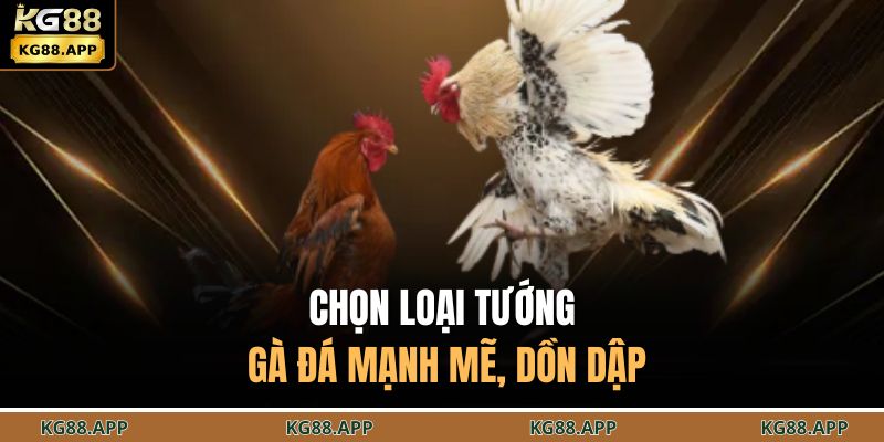 Cách Chọn Tướng Gà Đá - Bí Kíp Tối Ưu Chiến Kê Thành Công 4 Chọn loại tướng gà đá mạnh mẽ, dồn dập