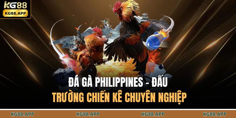 Đá Gà Philippines - Đấu Trường Chiến Kê Chuyên Nghiệp 1 Đá gà Philippines