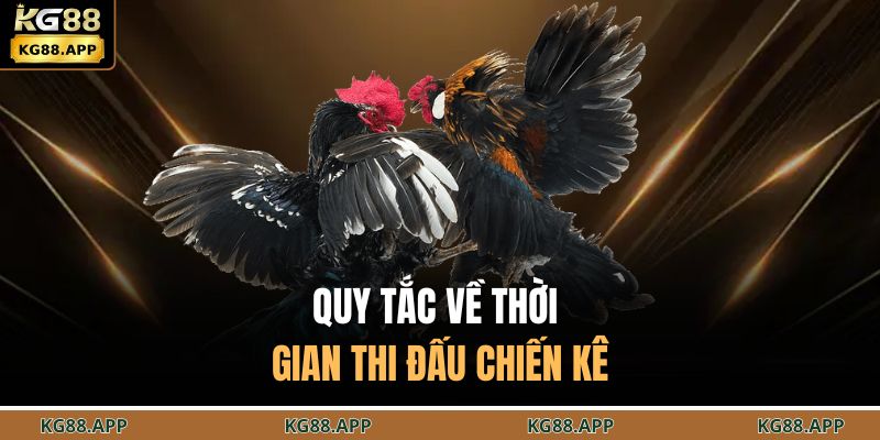 Đá Gà Cựa Dao - Trận Đấu Chọi Kê Gay Cấn Đến Nghẹt Thở 3 Quy tắc về thời gian thi đấu chiến kê