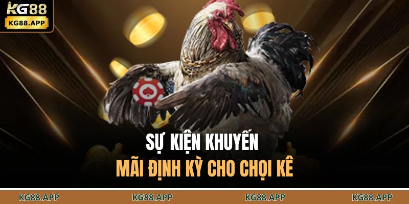 Đá Gà Cựa Sắt KG88 - Đấu Trường Chọi Kế Căng Thẳng 4 Sự kiện khuyến mãi định kỳ cho chọi kê